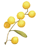 1629974621330664.png